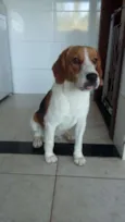 Charly
