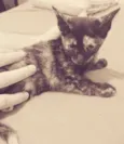 Lili