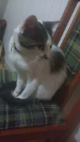 Stuart
