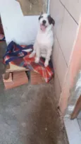 Zoe e Atena 