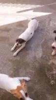 Zoe e Atena 