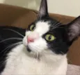 Tom 