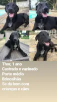 Thor