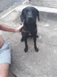 Não sei