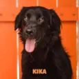 KIKA