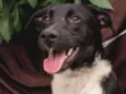 FÁBIO 