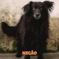 NEGÃO 
