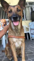 Não