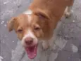 Beny
