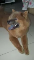 Bella