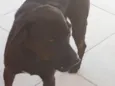 Nao se sabe