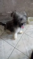 Marley