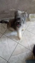 Marley