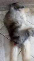 Marley