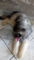 Marley