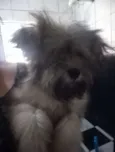 Marley