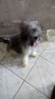 Marley