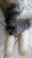 Marley