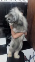Marley