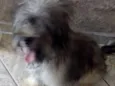 Marley