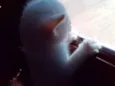 Bebês