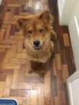 Joaquim 