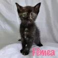 Ainda não têm nome