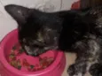 athos