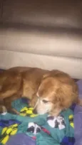 Bob