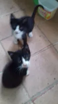 Gabriel e Lara