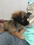 Nick