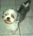 Tony 