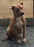 MARLEY