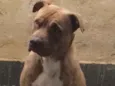 MARLEY