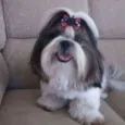 Léo