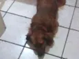 Mel