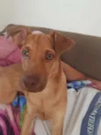 ZIG