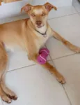 Mel