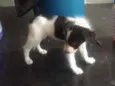 Não tem