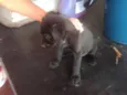 Não tem