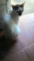 Não definido
