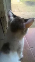 Não definido