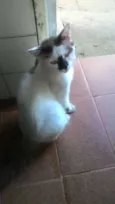 Não definido