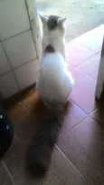 Não definido