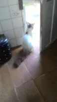 Não definido