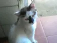 Não definido