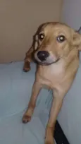 Esmeralda