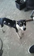Bob