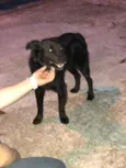 Vader