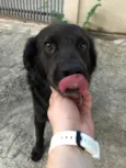 Vader
